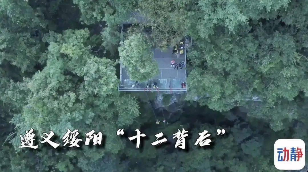 逃离梦想之家