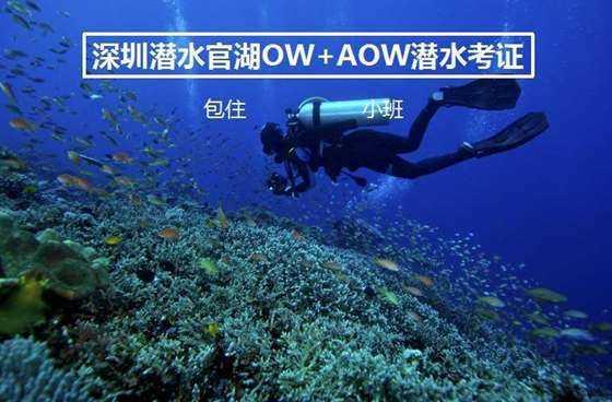 拯救机智男孩