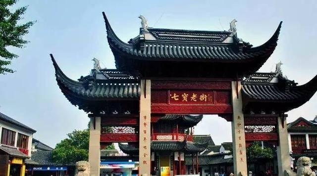 五彩鹦鹉救援